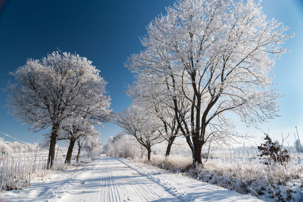 Read more about the article Noclegi Frampol – zapraszamy na Roztocze